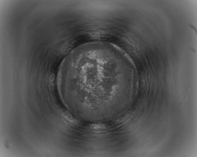 X0000091010275200708241519