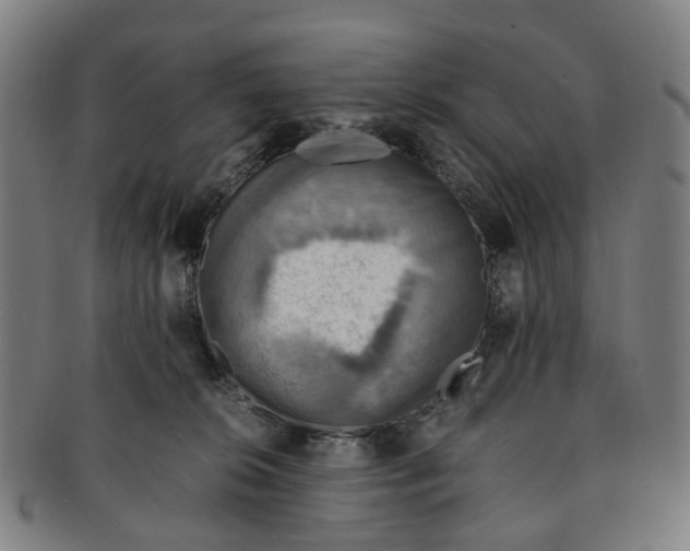 X0000091010276200708241519