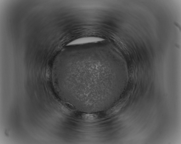 X0000091010277200708241519