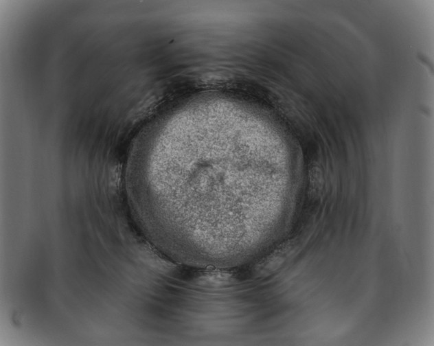 X0000091010278200708241519