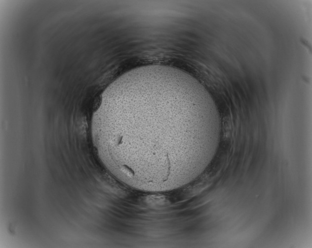 X0000091010279200708241519