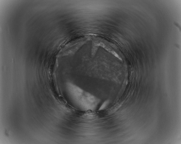 X0000091010280200708241519