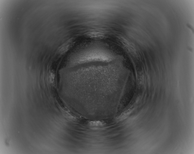 X0000091010281200708241519