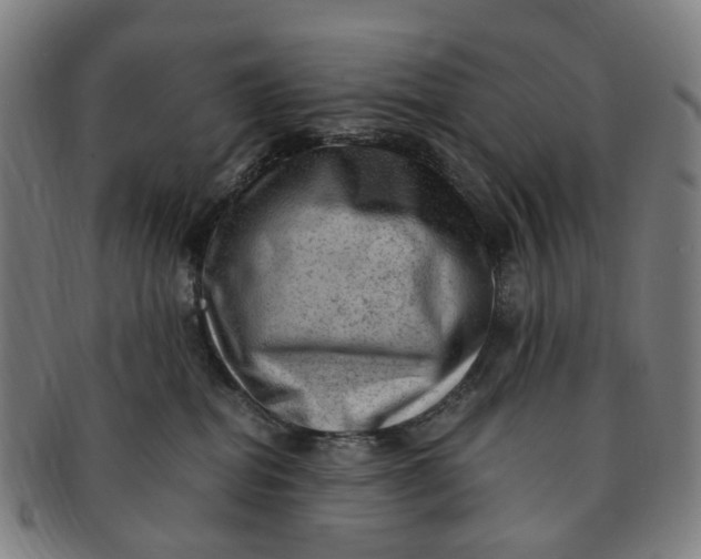 X0000091010282200708241519