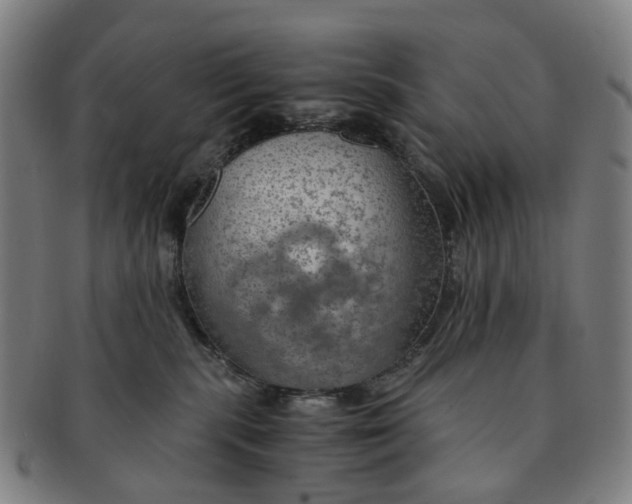 X0000091010283200708241519