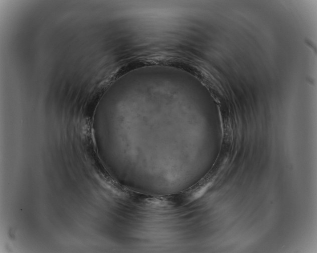 X0000091010284200708241519