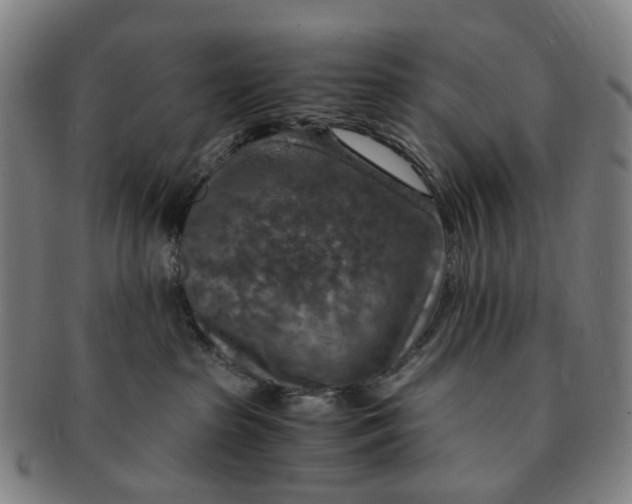 X0000091010285200708241519