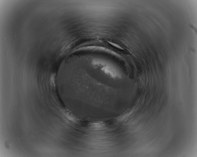 X0000091010286200708241519