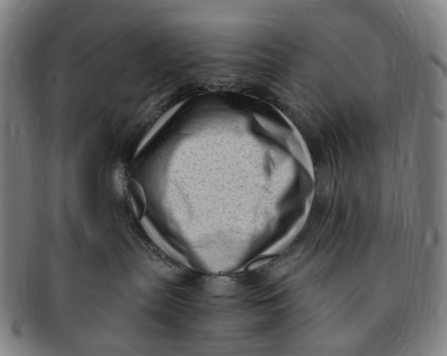 X0000091010287200708241519