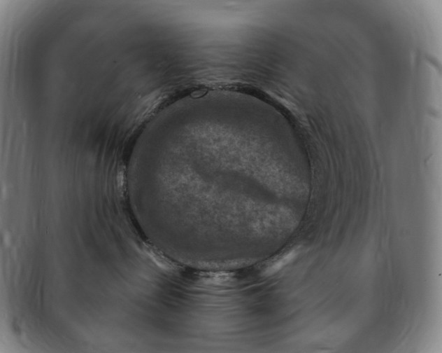 X0000091010288200708241519