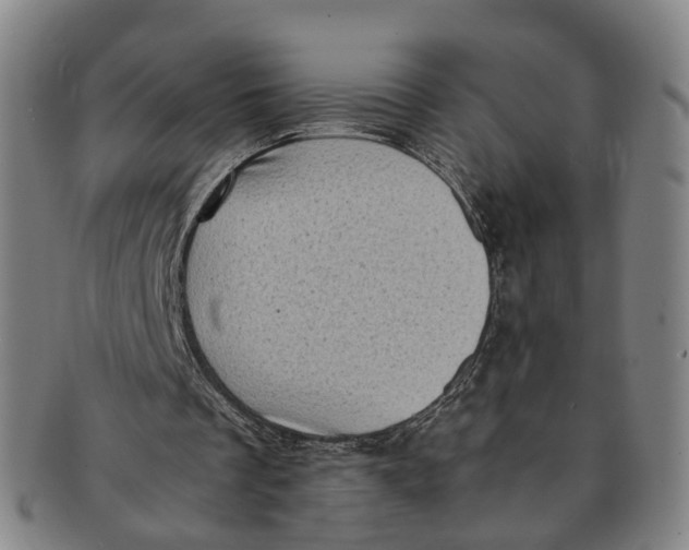 X0000091010289200708241519