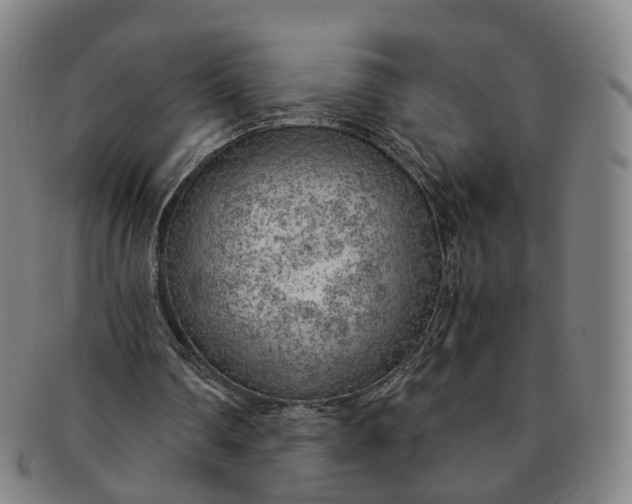 X0000091010290200708241519