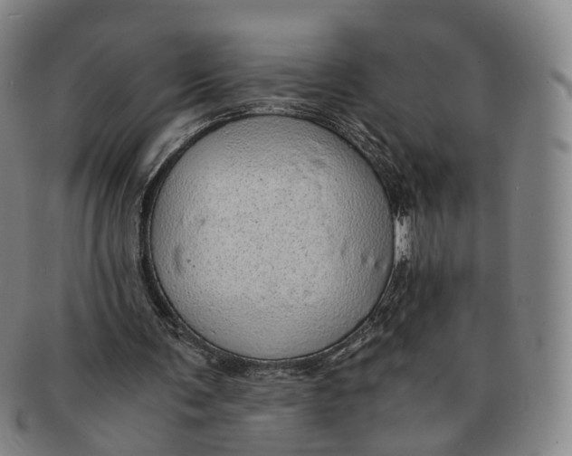 X0000091010291200708241519