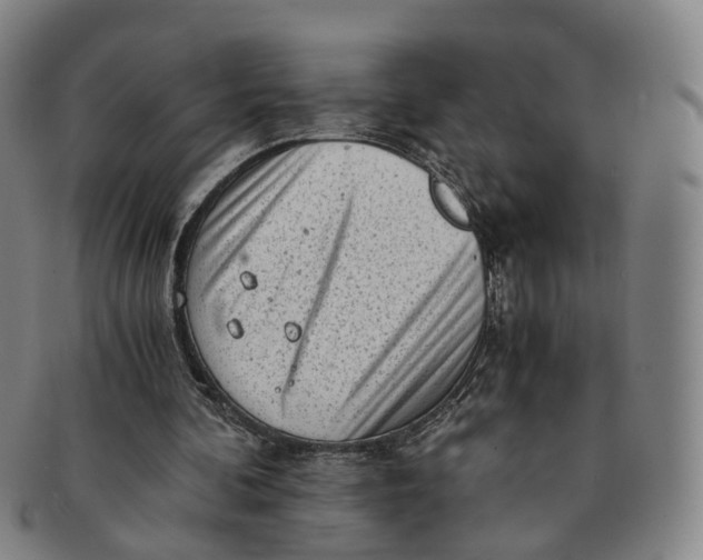 X0000091010292200708241519