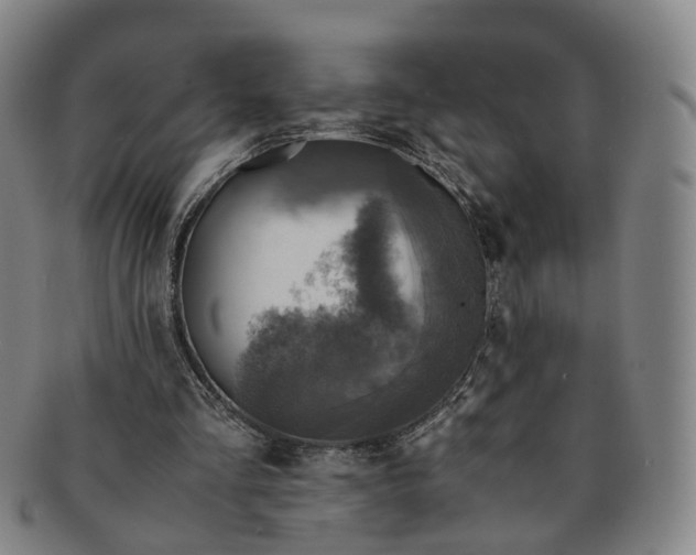 X0000091010293200708241519