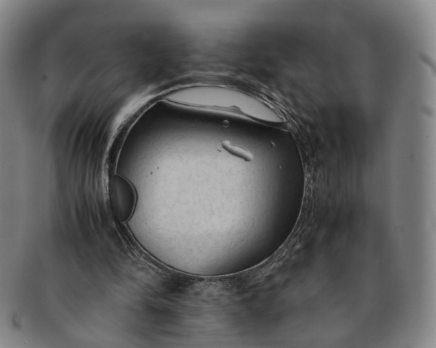 X0000091010294200708241519