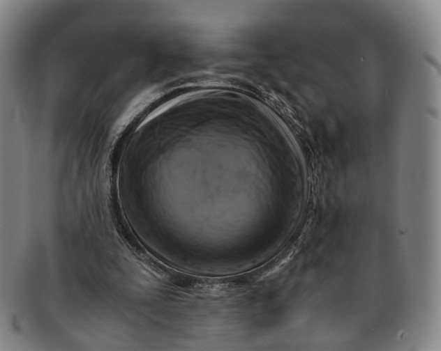 X0000091010295200708241519