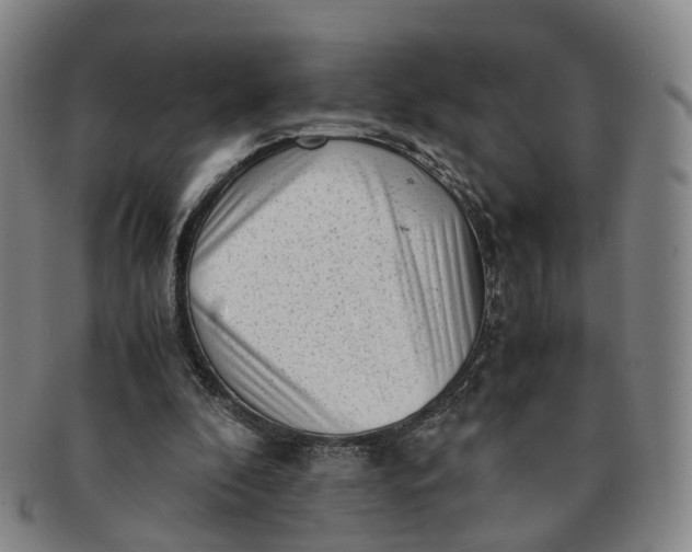 X0000091010296200708241519