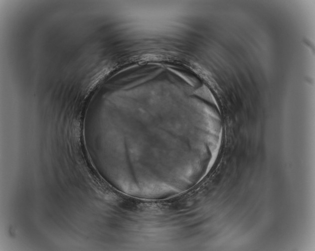 X0000091010297200708241519