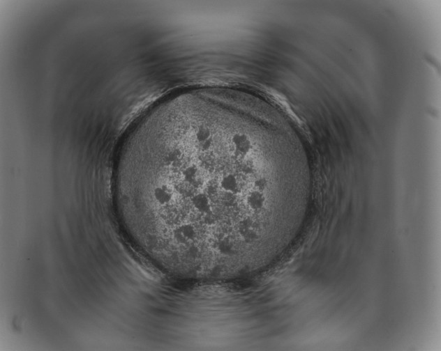 X0000091010299200708241518