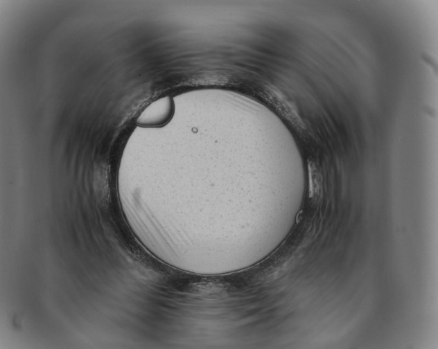 X0000091010300200708241518