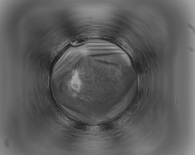 X0000091010301200708241518