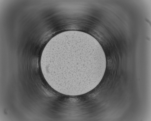 X0000091010302200708241518