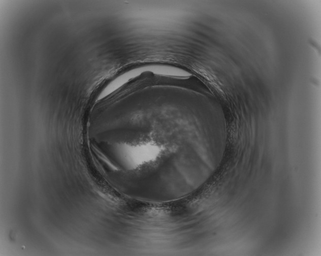 X0000091010303200708241518