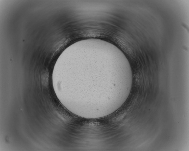 X0000091010304200708241518