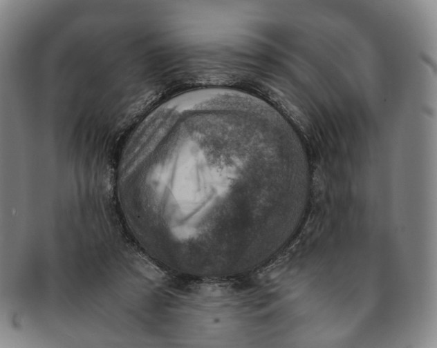 X0000091010305200708241518