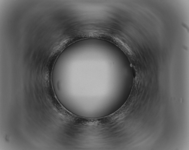 X0000091010306200708241518