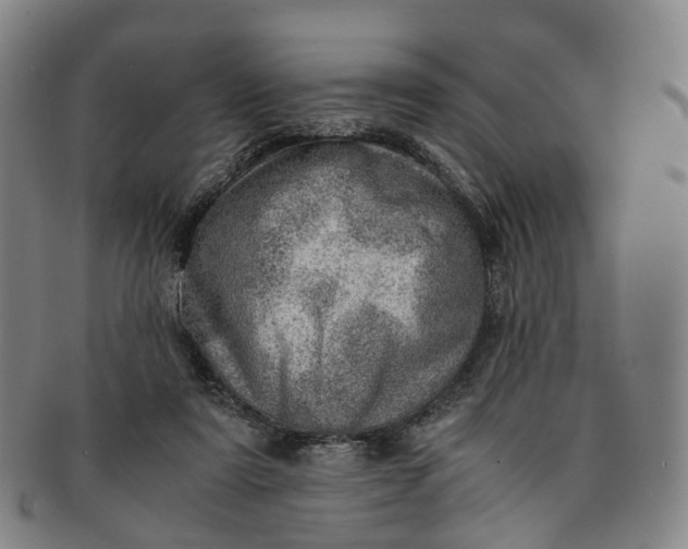 X0000091010307200708241518