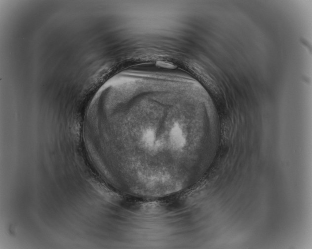 X0000091010309200708241518