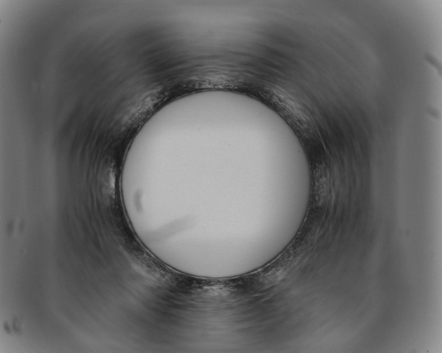 X0000091010310200708241518