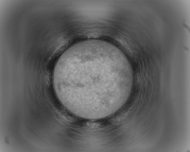 X0000091010311200708241518