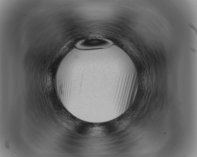 X0000091010312200708241518