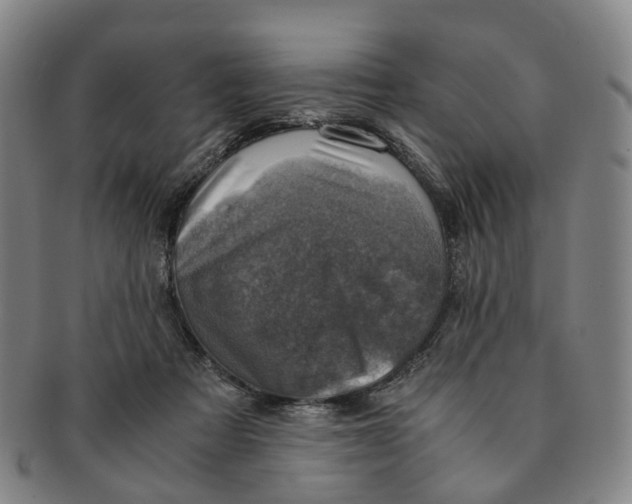 X0000091010313200708241518