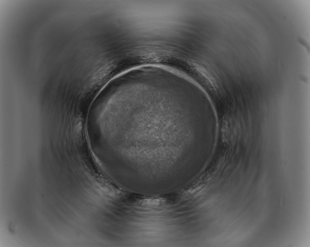 X0000091010314200708241518