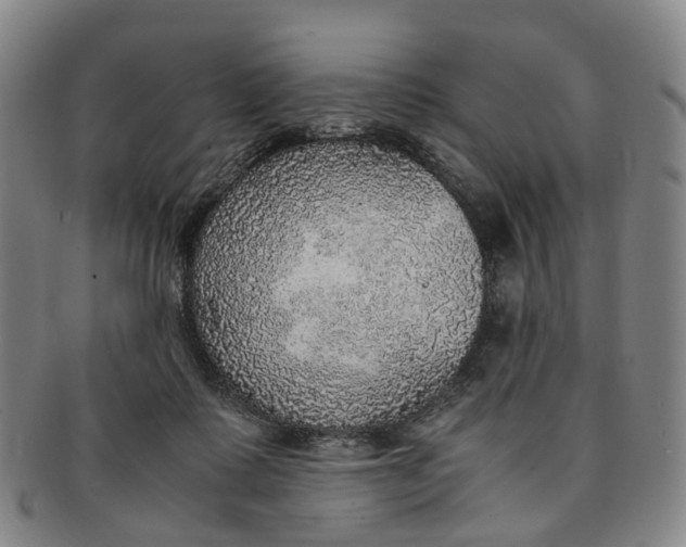 X0000091010315200708241518