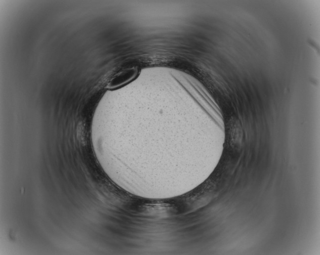 X0000091010316200708241518