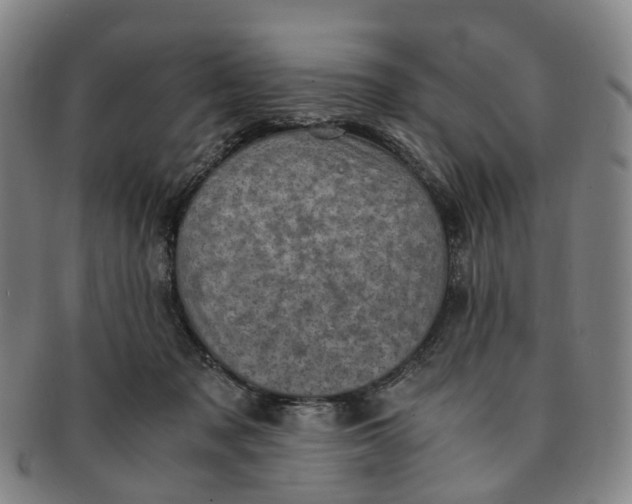 X0000091010317200708241518