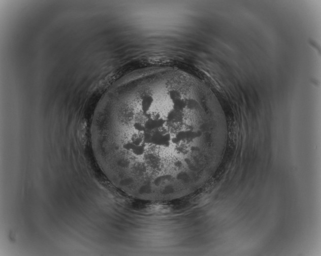 X0000091010319200708241518