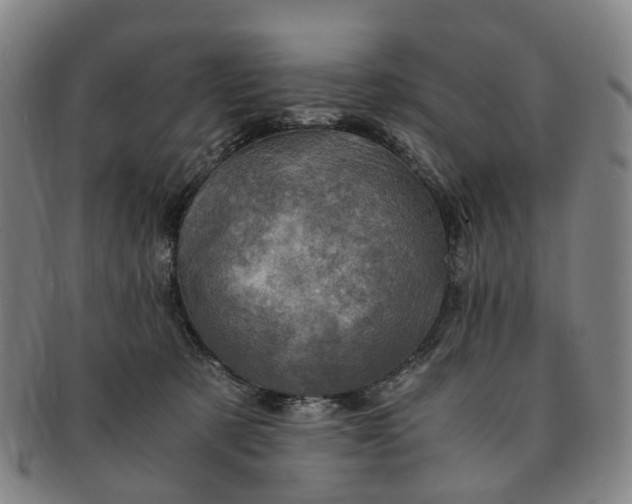 X0000091010321200708241518