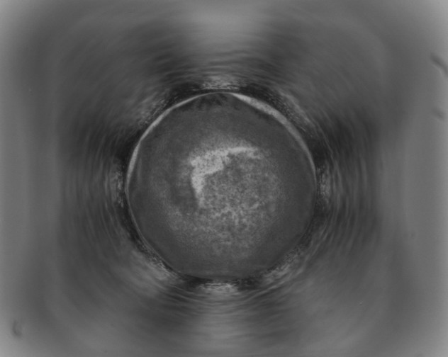 X0000091010322200708241518