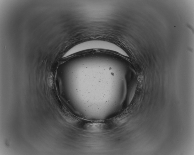 X0000091010323200708241518