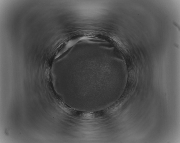 X0000091010325200708241518