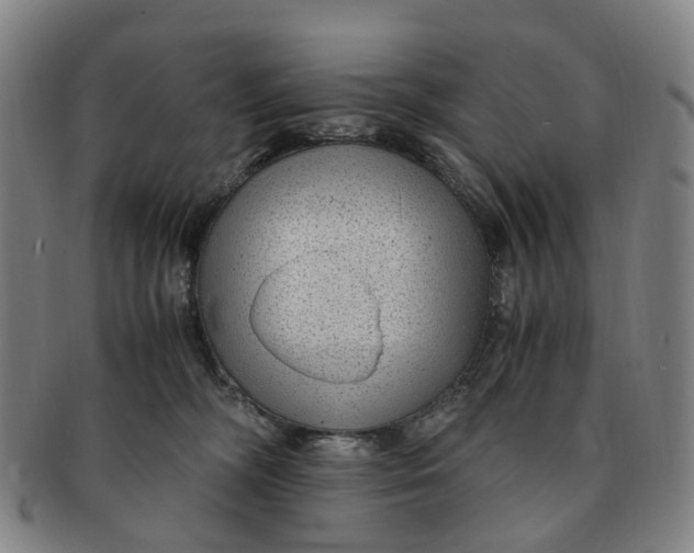 X0000091010326200708241518