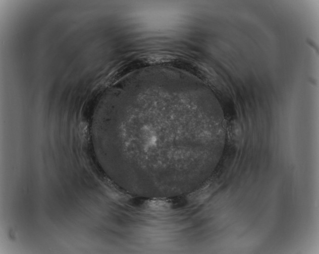 X0000091010327200708241518