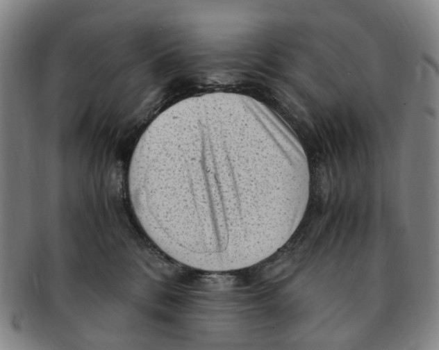 X0000091010328200708241518