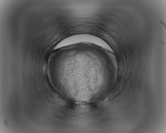 X0000091010329200708241518